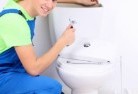 Marootatoilet-replacement-plumbers-2.jpg; ?>